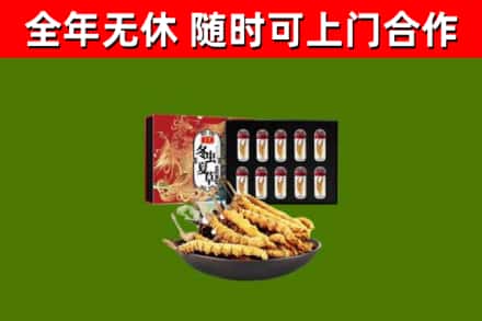 越秀区回收冬虫夏草价格