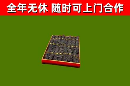 越秀区回收海参